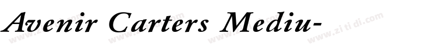 Avenir Carters Mediu字体转换